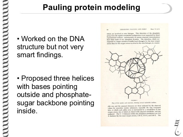281 lec6 double_helix