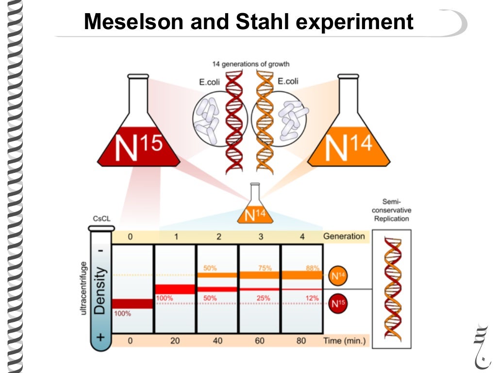 281 lec8 replication_experiments