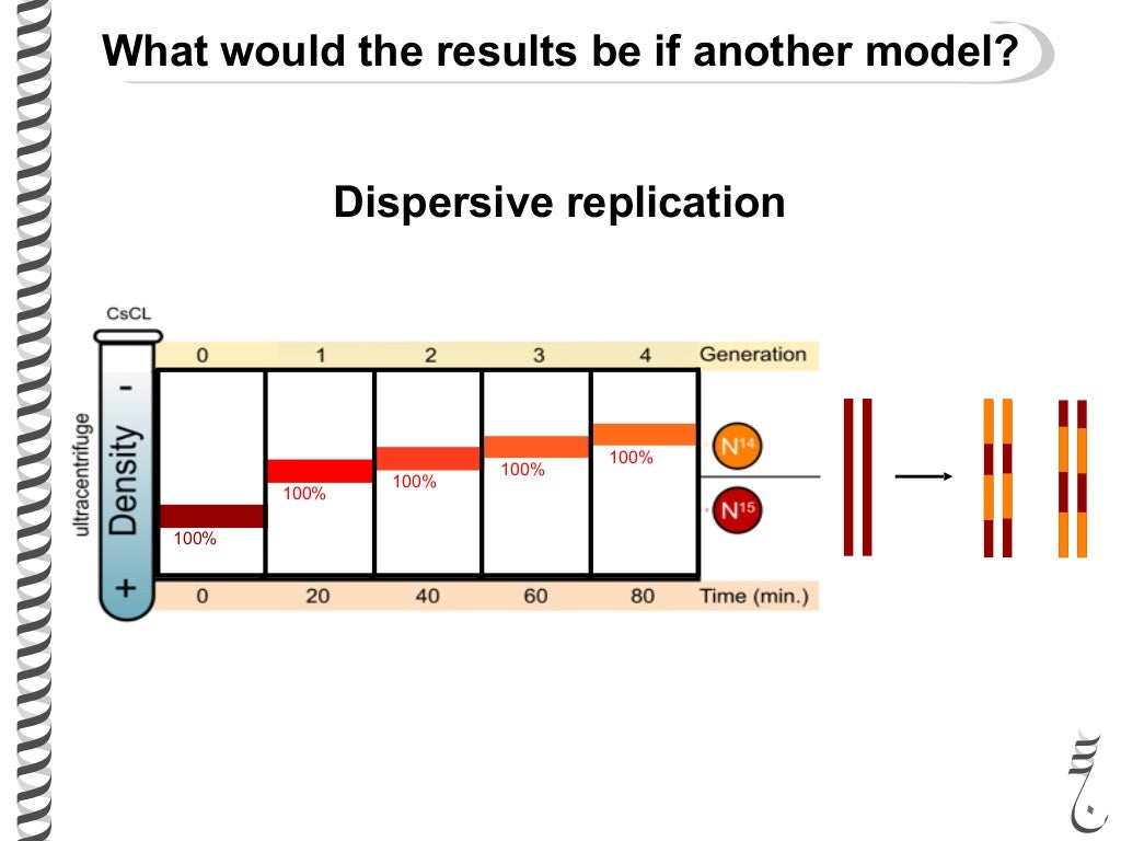 281 lec8 replication_experiments