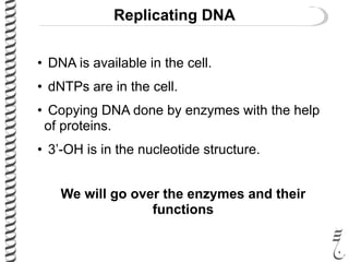 Replicating DNA
• DNA is available in the cell.
• dNTPs are in the cell.
• Copying DNA done by enzymes with the help
of proteins.
• 3’-OH is in the nucleotide structure.
We will go over the enzymes and their
functions
 