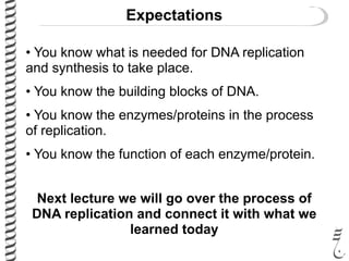 Expectations
• You know what is needed for DNA replication
and synthesis to take place.
• You know the building blocks of DNA.
• You know the enzymes/proteins in the process
of replication.
• You know the function of each enzyme/protein.
Next lecture we will go over the process of
DNA replication and connect it with what we
learned today
 