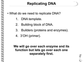 Replicating DNA
• What do we need to replicate DNA?
1. DNA template.
2. Building block of DNA.
3. Builders (proteins and enzymes).
4. 3’OH (primer).
We will go over each enzyme and its
function but lets go over each one
separately first.
 