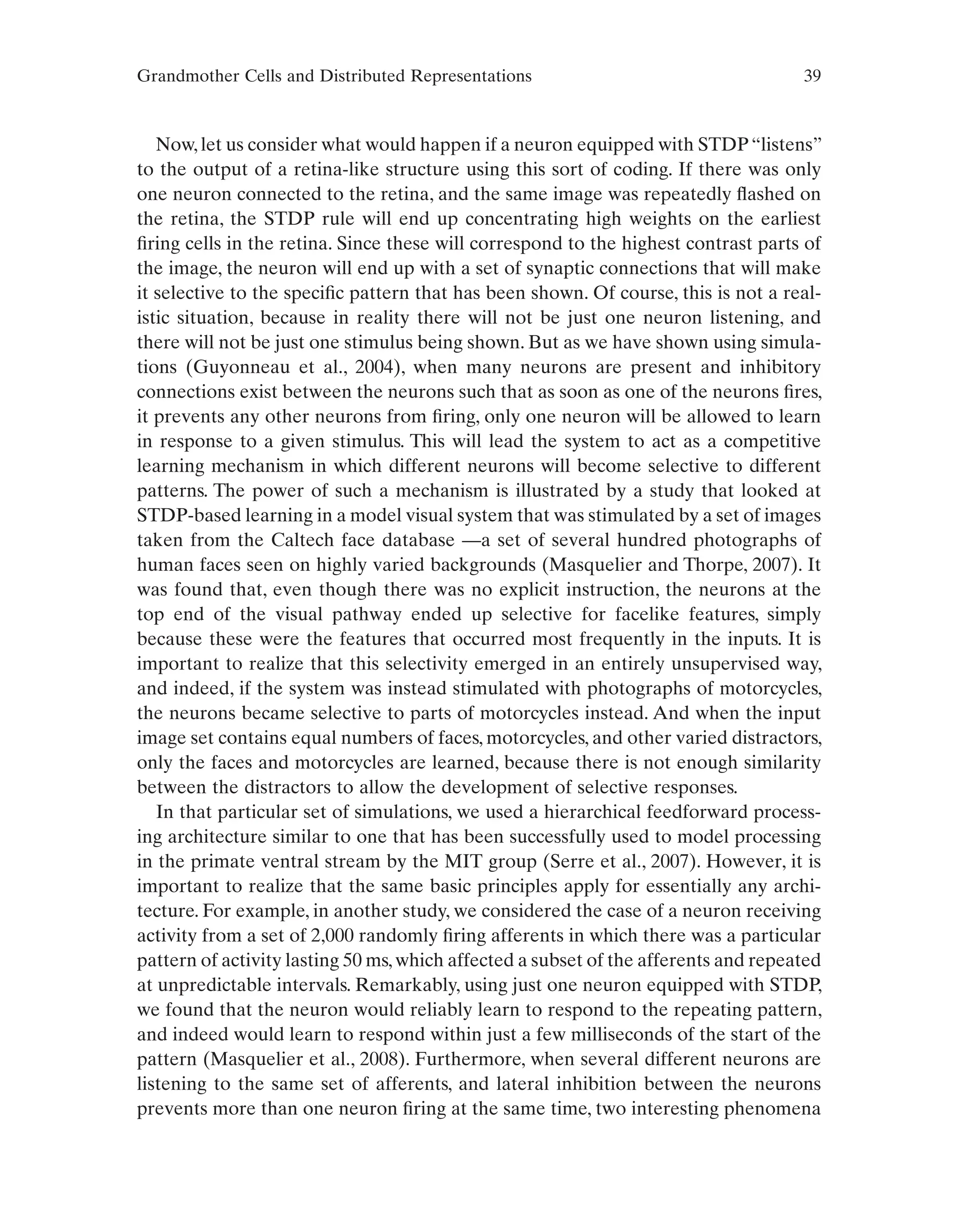 Grandmother Cells and Distributed Representations 39
Now,let us consider what would happen if a neuron equipped with STDP“listens”
to the output of a retina-like structure using this sort of coding. If there was only
one neuron connected to the retina, and the same image was repeatedly flashed on
the retina, the STDP rule will end up concentrating high weights on the earliest
firing cells in the retina. Since these will correspond to the highest contrast parts of
the image, the neuron will end up with a set of synaptic connections that will make
it selective to the specific pattern that has been shown. Of course, this is not a real-
istic situation, because in reality there will not be just one neuron listening, and
there will not be just one stimulus being shown. But as we have shown using simula-
tions (Guyonneau et al., 2004), when many neurons are present and inhibitory
connections exist between the neurons such that as soon as one of the neurons fires,
it prevents any other neurons from firing, only one neuron will be allowed to learn
in response to a given stimulus. This will lead the system to act as a competitive
learning mechanism in which different neurons will become selective to different
patterns. The power of such a mechanism is illustrated by a study that looked at
STDP-based learning in a model visual system that was stimulated by a set of images
taken from the Caltech face database —a set of several hundred photographs of
human faces seen on highly varied backgrounds (Masquelier and Thorpe, 2007). It
was found that, even though there was no explicit instruction, the neurons at the
top end of the visual pathway ended up selective for facelike features, simply
because these were the features that occurred most frequently in the inputs. It is
important to realize that this selectivity emerged in an entirely unsupervised way,
and indeed, if the system was instead stimulated with photographs of motorcycles,
the neurons became selective to parts of motorcycles instead. And when the input
image set contains equal numbers of faces, motorcycles, and other varied distractors,
only the faces and motorcycles are learned, because there is not enough similarity
between the distractors to allow the development of selective responses.
In that particular set of simulations, we used a hierarchical feedforward process-
ing architecture similar to one that has been successfully used to model processing
in the primate ventral stream by the MIT group (Serre et al., 2007). However, it is
important to realize that the same basic principles apply for essentially any archi-
tecture. For example, in another study, we considered the case of a neuron receiving
activity from a set of 2,000 randomly firing afferents in which there was a particular
pattern of activity lasting 50 ms,which affected a subset of the afferents and repeated
at unpredictable intervals. Remarkably, using just one neuron equipped with STDP,
we found that the neuron would reliably learn to respond to the repeating pattern,
and indeed would learn to respond within just a few milliseconds of the start of the
pattern (Masquelier et al., 2008). Furthermore, when several different neurons are
listening to the same set of afferents, and lateral inhibition between the neurons
prevents more than one neuron firing at the same time, two interesting phenomena
 