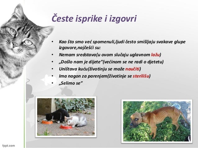 Ljudi i parenje životinja Imala je Ljudi i parenje životinja Imala je