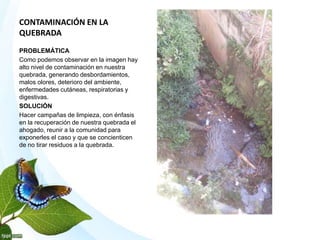 CONTAMINACIÓN EN LA
QUEBRADA
PROBLEMÁTICA
Como podemos observar en la imagen hay
alto nivel de contaminación en nuestra
quebrada, generando desbordamientos,
malos olores, deterioro del ambiente,
enfermedades cutáneas, respiratorias y
digestivas.
SOLUCIÓN
Hacer campañas de limpieza, con énfasis
en la recuperación de nuestra quebrada el
ahogado, reunir a la comunidad para
exponerles el caso y que se concienticen
de no tirar residuos a la quebrada.
 
