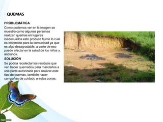 QUEMAS
PROBLEMÁTICA
Como podemos ver en la imagen se
muestra como algunas personas
realizan quemas en lugares
inadecuados esto produce humo lo cual
es incomodo para la comunidad ya que
es algo desagradable, a parte de eso
puede afectar en la salud de los niños y
ancianos.
SOLUCIÓN
Se podría recolectar los residuos que
van hacer quemados para mandarlos a
una parte autorizada para realizar este
tipo de quemas, también hacer
campañas de cuidado a estas zonas.
 
