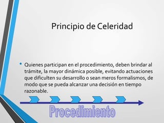 Principio de Celeridad
• Quienes participan en el procedimiento, deben brindar al
trámite, la mayor dinámica posible, evitando actuaciones
que dificulten su desarrollo o sean meros formalismos, de
modo que se pueda alcanzar una decisión en tiempo
razonable.
 
