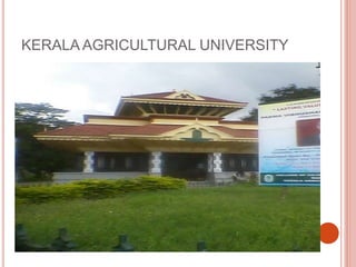 KERALA AGRICULTURAL UNIVERSITY
 