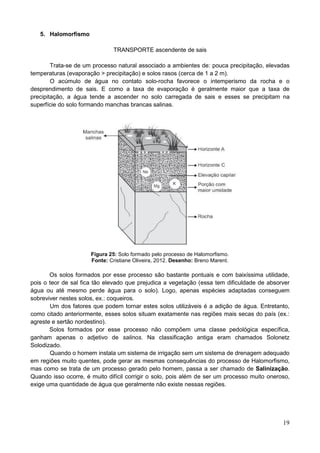 19
5. Halomorfismo
TRANSPORTE ascendente de sais
Trata-se de um processo natural associado a ambientes de: pouca precipitação, elevadas
temperaturas (evaporação > precipitação) e solos rasos (cerca de 1 a 2 m).
O acúmulo de água no contato solo-rocha favorece o intemperismo da rocha e o
desprendimento de sais. E como a taxa de evaporação é geralmente maior que a taxa de
precipitação, a água tende a ascender no solo carregada de sais e esses se precipitam na
superfície do solo formando manchas brancas salinas.
Figura 25: Solo formado pelo processo de Halomorfismo.
Fonte: Cristiane Oliveira, 2012. Desenho: Breno Marent.
Os solos formados por esse processo são bastante pontuais e com baixíssima utilidade,
pois o teor de sal fica tão elevado que prejudica a vegetação (essa tem dificuldade de absorver
água ou até mesmo perde água para o solo). Logo, apenas espécies adaptadas conseguem
sobreviver nestes solos, ex.: coqueiros.
Um dos fatores que podem tornar estes solos utilizáveis é a adição de água. Entretanto,
como citado anteriormente, esses solos situam exatamente nas regiões mais secas do país (ex.:
agreste e sertão nordestino).
Solos formados por esse processo não compõem uma classe pedológica específica,
ganham apenas o adjetivo de salinos. Na classificação antiga eram chamados Solonetz
Solodizado.
Quando o homem instala um sistema de irrigação sem um sistema de drenagem adequado
em regiões muito quentes, pode gerar as mesmas consequências do processo de Halomorfismo,
mas como se trata de um processo gerado pelo homem, passa a ser chamado de Salinização.
Quando isso ocorre, é muito difícil corrigir o solo, pois além de ser um processo muito oneroso,
exige uma quantidade de água que geralmente não existe nessas regiões.
 