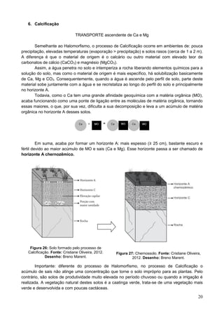 20
6. Calcificação
TRANSPORTE ascendente de Ca e Mg
Semelhante ao Halomorfismo, o processo de Calcificação ocorre em ambientes de: pouca
precipitação, elevadas temperaturas (evaporação > precipitação) e solos rasos (cerca de 1 a 2 m).
A diferença é que o material de origem é o calcário ou outro material com elevado teor de
carbonatos de cálcio (CaCO3) e magnésio (MgCO3).
Assim, a água penetra no solo e intemperiza a rocha liberando elementos químicos para a
solução do solo, mas como o material de origem é mais específico, há solubilização basicamente
de Ca, Mg e CO3. Consequentemente, quando a água é ascende pelo perfil de solo, parte deste
material sobe juntamente com a água e se recristaliza ao longo do perfil do solo e principalmente
no horizonte A.
Todavia, como o Ca tem uma grande afinidade geoquímica com a matéria orgânica (MO),
acaba funcionando como uma ponte de ligação entre as moléculas de matéria orgânica, tornando
essas maiores, o que, por sua vez, dificulta a sua decomposição e leva a um acúmulo de matéria
orgânica no horizonte A desses solos.
Em suma, acaba por formar um horizonte A: mais espesso (≥ 25 cm), bastante escuro e
fértil devido ao maior acúmulo de MO e sais (Ca e Mg). Esse horizonte passa a ser chamado de
horizonte A chernozêmico.
Figura 26: Solo formado pelo processo de
Calcificação. Fonte: Cristiane Oliveira, 2012.
Desenho: Breno Marent.
Figura 27: Chernossolo. Fonte: Cristiane Oliveira,
2012. Desenho: Breno Marent.
Importante: diferente do processo de Halomorfismo, no processo de Calcificação o
acúmulo de sais não atinge uma concentração que torne o solo impróprio para as plantas. Pelo
contrário, são solos de produtividade muito elevada no período chuvoso ou quando a irrigação é
realizada. A vegetação natural destes solos é a caatinga verde, trata-se de uma vegetação mais
verde e desenvolvida e com poucas cactáceas.
 