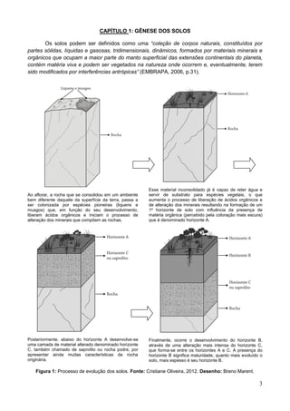 3
CAPÍTULO 1: GÊNESE DOS SOLOS
Os solos podem ser definidos como uma “coleção de corpos naturais, constituídos por
partes sólidas, líquidas e gasosas, tridimensionais, dinâmicos, formados por materiais minerais e
orgânicos que ocupam a maior parte do manto superficial das extensões continentais do planeta,
contém matéria viva e podem ser vegetados na natureza onde ocorrem e, eventualmente, terem
sido modificados por interferências antrópicas” (EMBRAPA, 2006, p.31).
Ao aflorar, a rocha que se consolidou em um ambiente
bem diferente daquele da superfície da terra, passa a
ser colonizada por espécies pioneiras (liquens e
musgos) que, em função do seu desenvolvimento,
liberam ácidos orgânicos e iniciam o processo de
alteração dos minerais que compõem as rochas.
Esse material inconsolidado já é capaz de reter água e
servir de substrato para espécies vegetais, o que
aumenta o processo de liberação de ácidos orgânicos e
de alteração dos minerais resultando na formação de um
1º horizonte de solo com influência da presença de
matéria orgânica (percebido pela coloração mais escura)
que é denominado horizonte A.
Posteriormente, abaixo do horizonte A desenvolve-se
uma camada de material alterado denominado horizonte
C, também chamado de saprolito ou rocha podre, por
apresentar ainda muitas características da rocha
originária.
Finalmente, ocorre o desenvolvimento do horizonte B,
através de uma alteração mais intensa do horizonte C,
que forma-se entre os horizontes A e C. A presença do
horizonte B significa maturidade, quanto mais evoluído o
solo, mais espesso é seu horizonte B.
Figura 1: Processo de evolução dos solos. Fonte: Cristiane Oliveira, 2012. Desenho: Breno Marent.
 