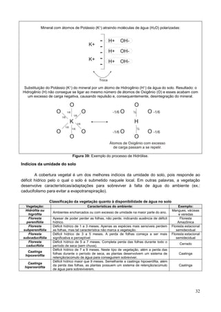 32
Mineral com átomos de Potássio (K+) atraindo moléculas de água (H2O) polarizadas:
Substituição do Potássio (K+) do mineral por um átomo de Hidrogênio (H+) da água do solo. Resultado: o
Hidrogênio (H) não consegue se ligar ao mesmo número de átomos de Oxigênio (O) e esses acabam com
um excesso de carga negativa, causando repulsão e, consequentemente, desintegração do mineral.
Figura 39: Exemplo do processo de Hidrólise.
Indícios da umidade do solo
A cobertura vegetal é um dos melhores indícios da umidade do solo, pois responde ao
déficit hídrico pelo o qual o solo é submetido naquele local. Em outras palavras, a vegetação
desenvolve características/adaptações para sobreviver à falta de água do ambiente (ex.:
caducifolismo para evitar a evapotranspiração).
Classificação da vegetação quanto à disponibilidade de água no solo
Vegetação: Características do ambiente: Exemplo:
Hidrófita ou
higrófita
Ambientes encharcados ou com excesso de umidade na maior parte do ano.
Mangues, várzeas
e veredas
Floresta
perenifólia
Apesar de poder perder as folhas, não perde, indicando ausência de déficit
hídrico.
Floresta
Amazônica
Floresta
subperenifólia
Déficit hídrico de 1 a 3 meses. Apenas as espécies mais sensíveis perdem
as folhas, mas tal característica não marca a vegetação.
Floresta estacional
semidecidual
Floresta
subcaducifólia
Déficit hídrico de 3 a 5 meses. A perda de folhas começa a ser mais
significativa e perceptível
Floresta estacional
semidecidual
Floresta
caducifólia
Déficit hídrico de 5 a 7 meses. Completa perda das folhas durante todo o
período de seca (sem chuva).
Cerrado
Caatinga
hipoxerófita
Déficit hídrico de 7 a 9 meses. Neste tipo de vegetação, além a perda das
folhas durante o período de seca, as plantas desenvolvem um sistema de
retenção/acúmulo de água para conseguirem sobreviver.
Caatinga
Caatinga
hiperxerófita
Déficit hídrico maior que 9 meses. Semelhante a caatinga hipoxerófita, além
da perda das folhas, as plantas possuem um sistema de retenção/acúmulo
de água para sobreviverem.
Caatinga
 
