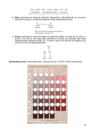 50
b) Valor: equivalente às linhas da caderneta. Representa a intensidade da cor, se essa é
mais clara ou escura – é a MO que influencia nessa característica do solo.
c) Croma: equivalente à coluna da página da caderneta. Define a pureza da cor, isto é, o
quanto a cor real do solo (seja essa vermelha ou amarela, por exemplo) está sendo
mascarada pela presença de MO. Ex.: o croma 0 não se vê nada da cor original, já no
croma 8, se vê a cor original totalmente.
Nomenclatura da cor: matiz valor/croma – nome da cor. Ex.: 5 YR 5/3 – Bruno avermelhado.
Figura 23: Exemplo de página da Caderneta de Munsell.
 