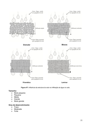 53
Granular Blocos
Prismática Laminar
Figura 47: Influência da estrutura do solo na infiltração da água no solo.
Tamanho:
 Muito pequena
 Pequena
 Média
 Grande
 Muito grande
Grau de desenvolvimento:
 Fraca
 Moderada
 Forte
 