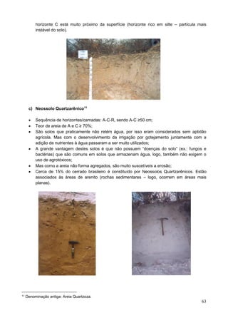 63
horizonte C está muito próximo da superfície (horizonte rico em silte – partícula mais
instável do solo).
c) Neossolo Quartzarênico11
 Sequência de horizontes/camadas: A-C-R, sendo A-C ≥50 cm;
 Teor de areia de A e C ≥ 70%;
 São solos que praticamente não retém água, por isso eram considerados sem aptidão
agrícola. Mas com o desenvolvimento da irrigação por gotejamento juntamente com a
adição de nutrientes à água passaram a ser muito utilizados;
 A grande vantagem destes solos é que não possuem “doenças do solo” (ex.: fungos e
bactérias) que são comuns em solos que armazenam água, logo, também não exigem o
uso de agrotóxicos;
 Mas como a areia não forma agregados, são muito suscetíveis a erosão;
 Cerca de 15% do cerrado brasileiro é constituído por Neossolos Quartzarênicos. Estão
associados às áreas de arenito (rochas sedimentares – logo, ocorrem em áreas mais
planas).
11 Denominação antiga: Areia Quartzoza.
 