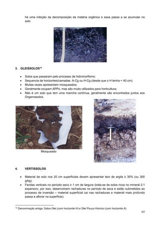 65
há uma inibição da decomposição da matéria orgânica e essa passa a se acumular no
solo.
3. GLEISSOLOS14
 Solos que passaram pelo processo de hidromorfismo;
 Sequencia de horizontes/camadas: A-Cg ou H-Cg (desde que o H tenha < 40 cm);
 Muitas vezes apresentam mosqueados;
 Geralmente ocupam APPs, mas são muito utilizados para horticultura;
 Não é um solo que tem uma mancha contínua, geralmente são encontrados juntos aos
Organossolos.
Mosqueado
4. VERTISSOLOS
 Material de solo nos 20 cm superficiais devem apresentar teor de argila ≥ 30% (ou 300
g/kg);
 Fendas verticais no período seco ≥ 1 cm de largura (trata-se de solos ricos no mineral 2:1
expansivo, por isso, desenvolvem rachaduras no período de seca e estão submetidos ao
processo de inversão – material superficial cai nas rachaduras e material mais profundo
passa a aflorar na superfície);
14 Denominação antiga: Solos Glei (com horizonte H) e Glei Pouco Húmico (com horizonte A).
 