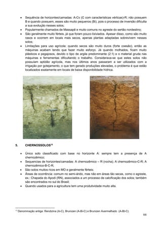 66
 Sequência de horizontes/camadas: A-Cv (C com características vérticas)-R; não possuem
B e quando possuem, esses são muito pequenos (Bi), pois o processo de inversão dificulta
a sua evolução nesses solos;
 Popularmente chamados de Massapê e muito comuns no agreste do sertão nordestino;
 São geralmente muito férteis, já que foram pouco lixiviados. Apesar disso, como são muito
rasos e ocorrem em locais mais secos, apenas plantas adaptadas sobrevivem nesses
solos;
 Limitações para uso agrícola: quando secos são muito duros (forte coesão), então as
máquinas acabam tendo que fazer muito esforço. Já quando molhados, ficam muito
plásticos e pegajosos, devido o tipo de argila predominante (2:1) e o material gruda nas
máquinas e ferramentas dificultando o trabalho. Considerava-se que estes solos não
possuíam aptidão agrícola, mas nos últimos anos passaram a ser utilizados com a
irrigação por gotejamento, o que tem gerado produções elevadas, o problema é que estão
localizados exatamente em locais de baixa disponibilidade hídrica.
5. CHERNOSSOLOS15
 Único solo classificado com base no horizonte A: sempre tem a presença de A
chernozêmico;
 Sequencias de horizontes/camadas: A chernozêmico – R (rocha); A chernozêmico-C-R; A
chernozêmico-B-C-R;
 São solos muitos ricos em MO e geralmente férteis;
 Áreas de ocorrência: comum no semi-árido, mas não em áreas tão secas, como o agreste,
ex.: Chapada do Apodi (RN), associados a um processo de calcificação dos solos; também
são encontrados no sul do Brasil;
 Quando usados para a agricultura tem uma produtividade muito alta.
15
Denominação antiga: Rendizina (A-C), Brunizen (A-Bi-C) e Brunizen Avermelhado (A-Bt-C).
 