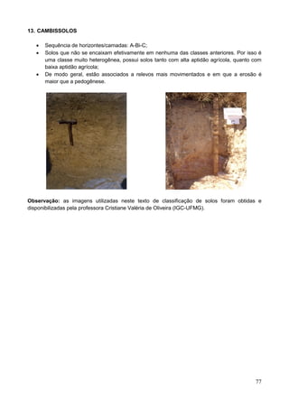 77
13. CAMBISSOLOS
 Sequência de horizontes/camadas: A-Bi-C;
 Solos que não se encaixam efetivamente em nenhuma das classes anteriores. Por isso é
uma classe muito heterogênea, possui solos tanto com alta aptidão agrícola, quanto com
baixa aptidão agrícola;
 De modo geral, estão associados a relevos mais movimentados e em que a erosão é
maior que a pedogênese.
Observação: as imagens utilizadas neste texto de classificação de solos foram obtidas e
disponibilizadas pela professora Cristiane Valéria de Oliveira (IGC-UFMG).
 