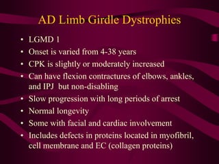 28391890-22213745-Muscular-Dystrophy.ppt