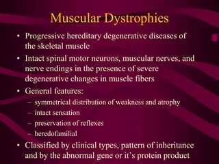 Muscular Dystrophies
• Progressive hereditary degenerative diseases of
the skeletal muscle
• Intact spinal motor neurons, muscular nerves, and
nerve endings in the presence of severe
degenerative changes in muscle fibers
• General features:
– symmetrical distribution of weakness and atrophy
– intact sensation
– preservation of reflexes
– heredofamilial
• Classified by clinical types, pattern of inheritance
and by the abnormal gene or it’s protein product
 