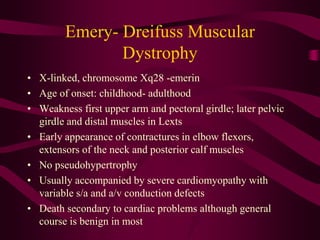 28391890-22213745-Muscular-Dystrophy.pptx