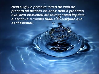 Nela surgiu a primeira forma de vida do planeta há milhões de anos; dela o processo evolutivo caminhou até formar nossa espécie, e continua a manter toda a diversidade que conhecemos.  