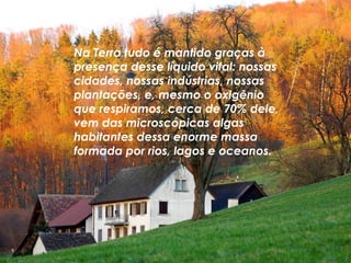 Na Terra tudo é mantido graças à presença desse líquido vital: nossas cidades, nossas indústrias, nossas plantações, e, mesmo o oxigênio que respiramos, cerca de 70% dele, vem das microscópicas algas habitantes dessa enorme massa formada por rios, lagos e oceanos.  