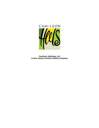 Camileon Holdings, LLC 
A New Jersey Limited Liability Company 
 