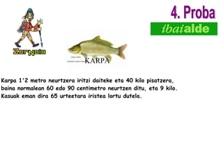 KARPA Karpa 1'2 metro neurtzera iritzi daiteke eta 40 kilo pisatzera, baina normalean 60 edo 90 centimetro neurtzen ditu, eta 9 kilo. Kasuak eman dira 65 urteetara iristea lortu dutela. 4. Proba 