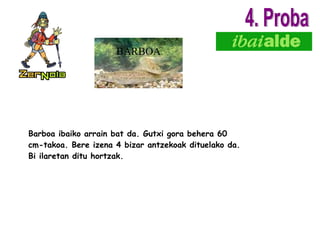 Barboa ibaiko arrain bat da. Gutxi gora behera 60 cm-takoa. Bere izena 4 bizar antzekoak dituelako da. Bi ilaretan ditu hortzak.  BARBOA 4. Proba 