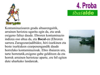 Kontaminazioaren gradu altuarengaitik, arrainen heriotza ugaritu egin da, eta urak oxigeno faltaz daude. Ebroren kontaminazio indizea oso altua da, eta  Bocal -en (Ebroren sarrera Zaragozan)adibidez, hiri-isurkinen eta beste isurkideen ezarpenengandik daude horrelako kontaminazioak. Ebro ibaiaren ura, tarte horretatik,oxigeno gabe gelditzen da eta horrek arrainen heriotzaz aparte, ere hil egiten dute uharkako landareak. 4. Proba 