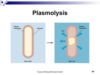 Factors Affecting Microbial Growth 26
Plasmolysis
 