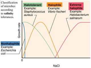 Factors Affecting Microbial Growth 28
Classification
of microbes
according
to salinity
tolerances.
 