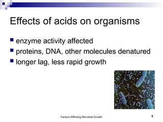 Factors Affecting Microbial Growth 7
Effects of acids on organisms
 enzyme activity affected
 proteins, DNA, other molecules denatured
 longer lag, less rapid growth
 
