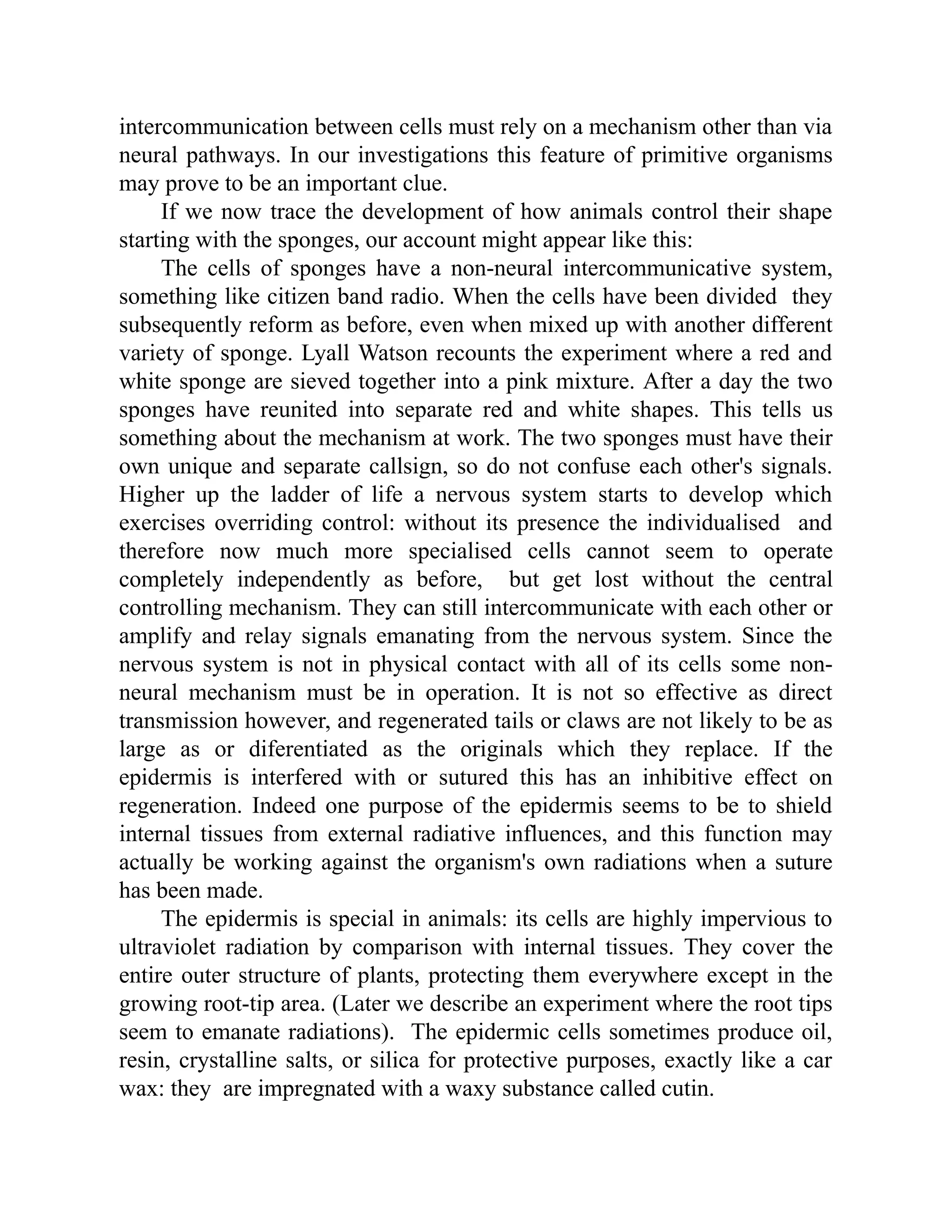 intercommunication between cells must rely on a mechanism other than via
neural pathways. In our investigations this feature of primitive organisms
may prove to be an important clue.
If we now trace the development of how animals control their shape
starting with the sponges, our account might appear like this:
The cells of sponges have a non-neural intercommunicative system,
something like citizen band radio. When the cells have been divided they
subsequently reform as before, even when mixed up with another different
variety of sponge. Lyall Watson recounts the experiment where a red and
white sponge are sieved together into a pink mixture. After a day the two
sponges have reunited into separate red and white shapes. This tells us
something about the mechanism at work. The two sponges must have their
own unique and separate callsign, so do not confuse each other's signals.
Higher up the ladder of life a nervous system starts to develop which
exercises overriding control: without its presence the individualised and
therefore now much more specialised cells cannot seem to operate
completely independently as before, but get lost without the central
controlling mechanism. They can still intercommunicate with each other or
amplify and relay signals emanating from the nervous system. Since the
nervous system is not in physical contact with all of its cells some non-
neural mechanism must be in operation. It is not so effective as direct
transmission however, and regenerated tails or claws are not likely to be as
large as or diferentiated as the originals which they replace. If the
epidermis is interfered with or sutured this has an inhibitive effect on
regeneration. Indeed one purpose of the epidermis seems to be to shield
internal tissues from external radiative influences, and this function may
actually be working against the organism's own radiations when a suture
has been made.
The epidermis is special in animals: its cells are highly impervious to
ultraviolet radiation by comparison with internal tissues. They cover the
entire outer structure of plants, protecting them everywhere except in the
growing root-tip area. (Later we describe an experiment where the root tips
seem to emanate radiations). The epidermic cells sometimes produce oil,
resin, crystalline salts, or silica for protective purposes, exactly like a car
wax: they are impregnated with a waxy substance called cutin.
 