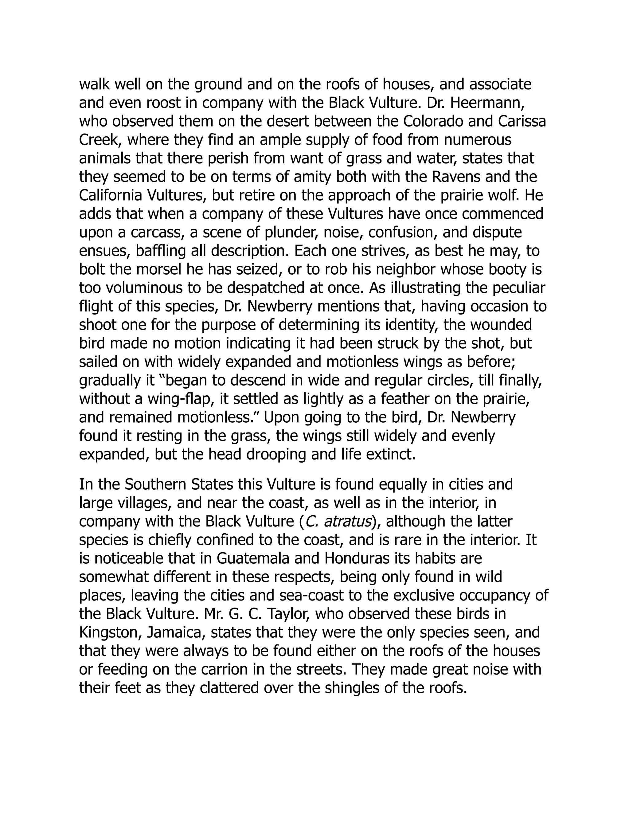 walk well on the ground and on the roofs of houses, and associate
and even roost in company with the Black Vulture. Dr. Heermann,
who observed them on the desert between the Colorado and Carissa
Creek, where they find an ample supply of food from numerous
animals that there perish from want of grass and water, states that
they seemed to be on terms of amity both with the Ravens and the
California Vultures, but retire on the approach of the prairie wolf. He
adds that when a company of these Vultures have once commenced
upon a carcass, a scene of plunder, noise, confusion, and dispute
ensues, baffling all description. Each one strives, as best he may, to
bolt the morsel he has seized, or to rob his neighbor whose booty is
too voluminous to be despatched at once. As illustrating the peculiar
flight of this species, Dr. Newberry mentions that, having occasion to
shoot one for the purpose of determining its identity, the wounded
bird made no motion indicating it had been struck by the shot, but
sailed on with widely expanded and motionless wings as before;
gradually it “began to descend in wide and regular circles, till finally,
without a wing-flap, it settled as lightly as a feather on the prairie,
and remained motionless.” Upon going to the bird, Dr. Newberry
found it resting in the grass, the wings still widely and evenly
expanded, but the head drooping and life extinct.
In the Southern States this Vulture is found equally in cities and
large villages, and near the coast, as well as in the interior, in
company with the Black Vulture (C. atratus), although the latter
species is chiefly confined to the coast, and is rare in the interior. It
is noticeable that in Guatemala and Honduras its habits are
somewhat different in these respects, being only found in wild
places, leaving the cities and sea-coast to the exclusive occupancy of
the Black Vulture. Mr. G. C. Taylor, who observed these birds in
Kingston, Jamaica, states that they were the only species seen, and
that they were always to be found either on the roofs of the houses
or feeding on the carrion in the streets. They made great noise with
their feet as they clattered over the shingles of the roofs.
 