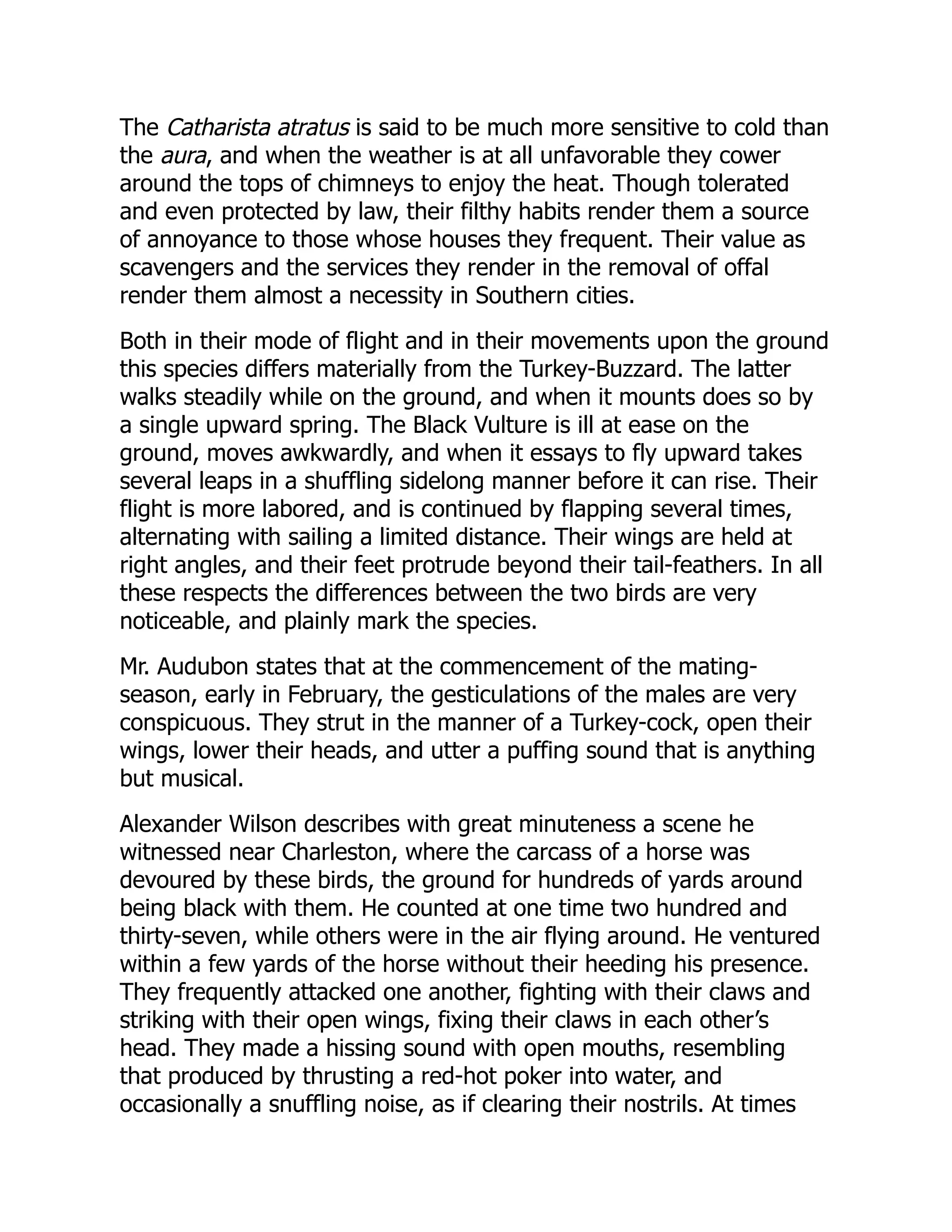 The Catharista atratus is said to be much more sensitive to cold than
the aura, and when the weather is at all unfavorable they cower
around the tops of chimneys to enjoy the heat. Though tolerated
and even protected by law, their filthy habits render them a source
of annoyance to those whose houses they frequent. Their value as
scavengers and the services they render in the removal of offal
render them almost a necessity in Southern cities.
Both in their mode of flight and in their movements upon the ground
this species differs materially from the Turkey-Buzzard. The latter
walks steadily while on the ground, and when it mounts does so by
a single upward spring. The Black Vulture is ill at ease on the
ground, moves awkwardly, and when it essays to fly upward takes
several leaps in a shuffling sidelong manner before it can rise. Their
flight is more labored, and is continued by flapping several times,
alternating with sailing a limited distance. Their wings are held at
right angles, and their feet protrude beyond their tail-feathers. In all
these respects the differences between the two birds are very
noticeable, and plainly mark the species.
Mr. Audubon states that at the commencement of the mating-
season, early in February, the gesticulations of the males are very
conspicuous. They strut in the manner of a Turkey-cock, open their
wings, lower their heads, and utter a puffing sound that is anything
but musical.
Alexander Wilson describes with great minuteness a scene he
witnessed near Charleston, where the carcass of a horse was
devoured by these birds, the ground for hundreds of yards around
being black with them. He counted at one time two hundred and
thirty-seven, while others were in the air flying around. He ventured
within a few yards of the horse without their heeding his presence.
They frequently attacked one another, fighting with their claws and
striking with their open wings, fixing their claws in each other’s
head. They made a hissing sound with open mouths, resembling
that produced by thrusting a red-hot poker into water, and
occasionally a snuffling noise, as if clearing their nostrils. At times
 