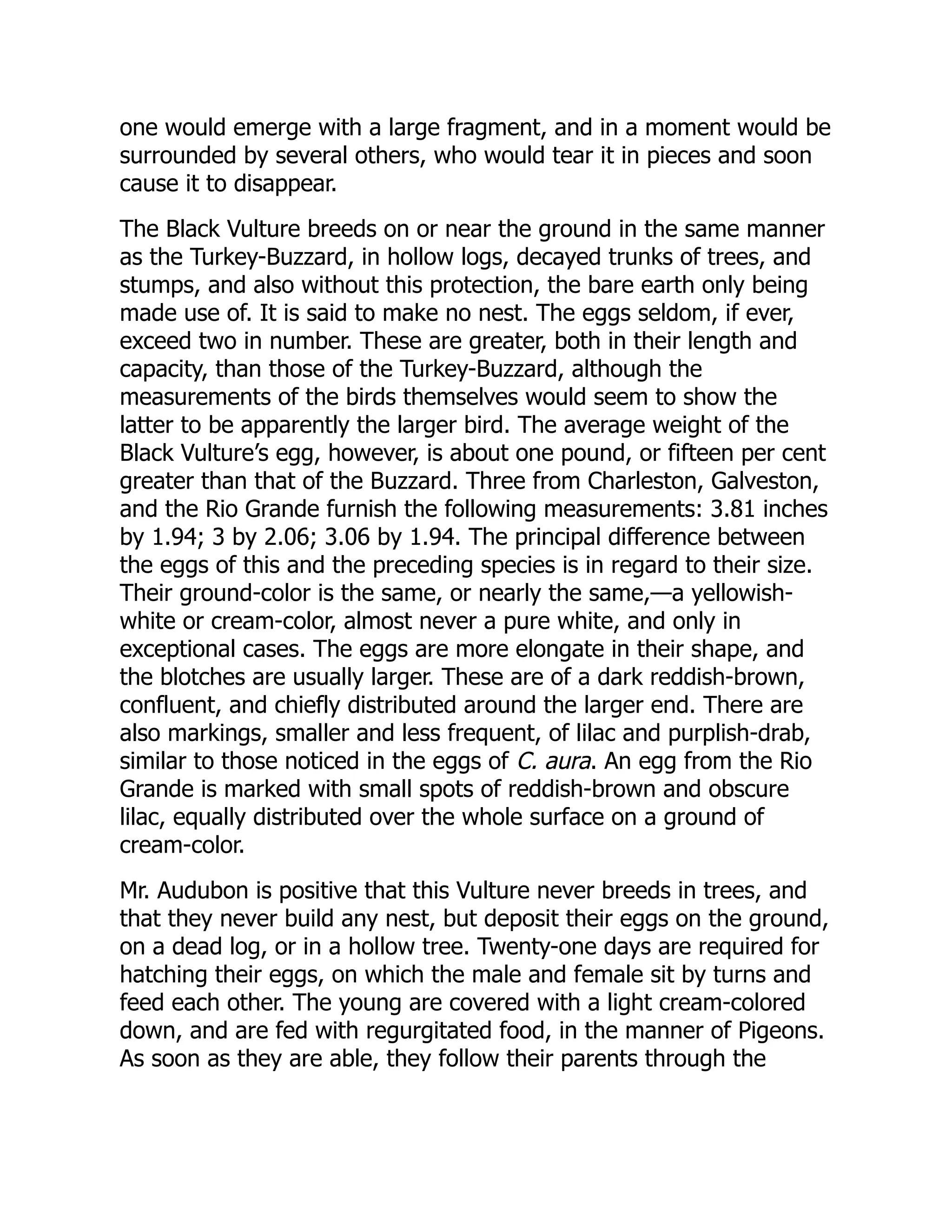 one would emerge with a large fragment, and in a moment would be
surrounded by several others, who would tear it in pieces and soon
cause it to disappear.
The Black Vulture breeds on or near the ground in the same manner
as the Turkey-Buzzard, in hollow logs, decayed trunks of trees, and
stumps, and also without this protection, the bare earth only being
made use of. It is said to make no nest. The eggs seldom, if ever,
exceed two in number. These are greater, both in their length and
capacity, than those of the Turkey-Buzzard, although the
measurements of the birds themselves would seem to show the
latter to be apparently the larger bird. The average weight of the
Black Vulture’s egg, however, is about one pound, or fifteen per cent
greater than that of the Buzzard. Three from Charleston, Galveston,
and the Rio Grande furnish the following measurements: 3.81 inches
by 1.94; 3 by 2.06; 3.06 by 1.94. The principal difference between
the eggs of this and the preceding species is in regard to their size.
Their ground-color is the same, or nearly the same,—a yellowish-
white or cream-color, almost never a pure white, and only in
exceptional cases. The eggs are more elongate in their shape, and
the blotches are usually larger. These are of a dark reddish-brown,
confluent, and chiefly distributed around the larger end. There are
also markings, smaller and less frequent, of lilac and purplish-drab,
similar to those noticed in the eggs of C. aura. An egg from the Rio
Grande is marked with small spots of reddish-brown and obscure
lilac, equally distributed over the whole surface on a ground of
cream-color.
Mr. Audubon is positive that this Vulture never breeds in trees, and
that they never build any nest, but deposit their eggs on the ground,
on a dead log, or in a hollow tree. Twenty-one days are required for
hatching their eggs, on which the male and female sit by turns and
feed each other. The young are covered with a light cream-colored
down, and are fed with regurgitated food, in the manner of Pigeons.
As soon as they are able, they follow their parents through the
 