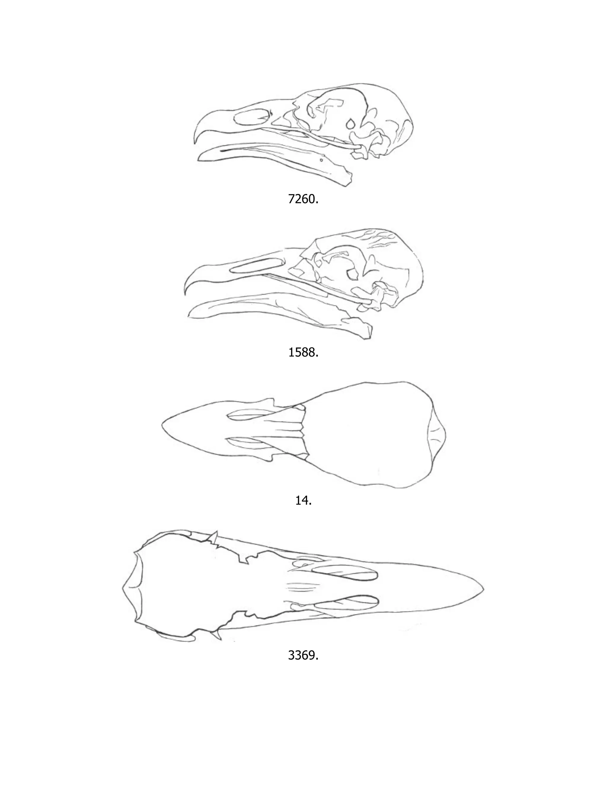 7260.
1588.
14.
3369.
 