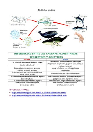 Red trófica acuática




      DIFERENCIAS ENTRE LAS CADENAS ALIMENTARIAS
                          TERRESTRES Y ACUATICAS
                  TIERRA                                             AGUA
                                                     Las cadenas alimentarias son más largas
   Las cadenas alimentarias son más cortas
                                                (fitoplancton, zooplancton, pulga de agua, arenque,
             (pasto, cebra, león)
                                                                 merluza, humanos)
       Los productores son muy grandes                  Los productores son microscópicos
           (hierbas, arbustos, árboles)                             (fitoplancton)
    Los productores son comidos parcialmente
                                                     Los productores son comidos totalmente
              (hojas, ramas, frutos)
 Los carnívoros pueden ser menor que la presa    Los carnívoros son más grandes que la presa
                (leopardo y buey)                     (pez grande come al pez más chico)
     Los carnívoros descuartizan a la presa       Los carnívoros tragan totalmente a la presa
        Los humanos comen herbívoros                   Los humanos comen carnívoros
               (vaca, oveja, cabra)                         (merluza, salmón, atún)


AUTOEVALUACIONES:
1.- http://hnncbiol.blogspot.com/2008/01/2-cadenas-alimentarias-i.html
2.- http://hnncbiol.blogspot.com/2008/01/3-cadenas-alimentarias-ii.html
 