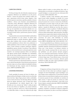 DOENÇA DE JORGE LOBO E A IMPORTÂNCIA DE SEU ESTUDO PARA A PATOLOGIA ...