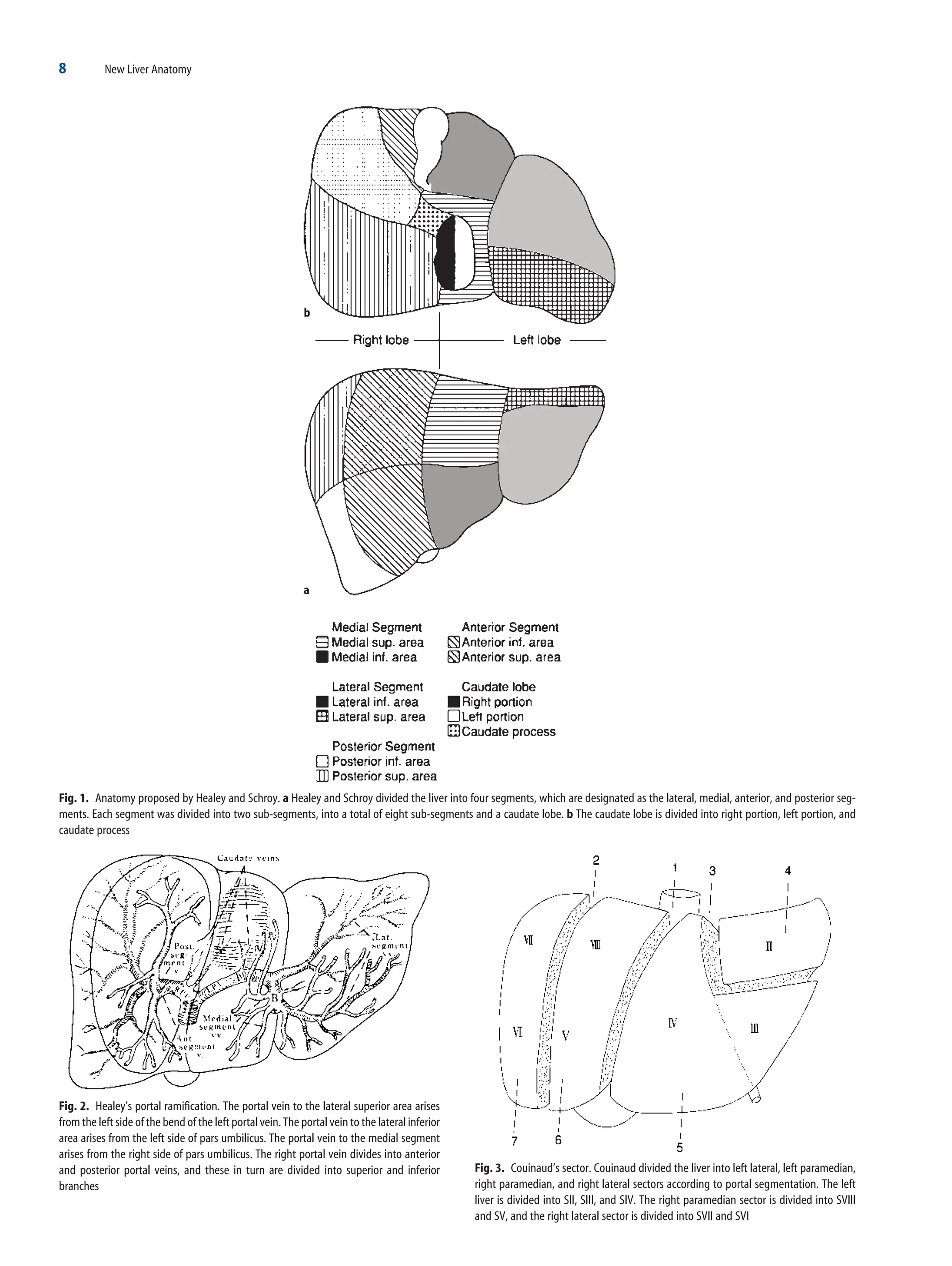 New liver anatomy―Portal segmentation New Liver Anatomy Portal Segmentation And The Drainage Vein 2009th