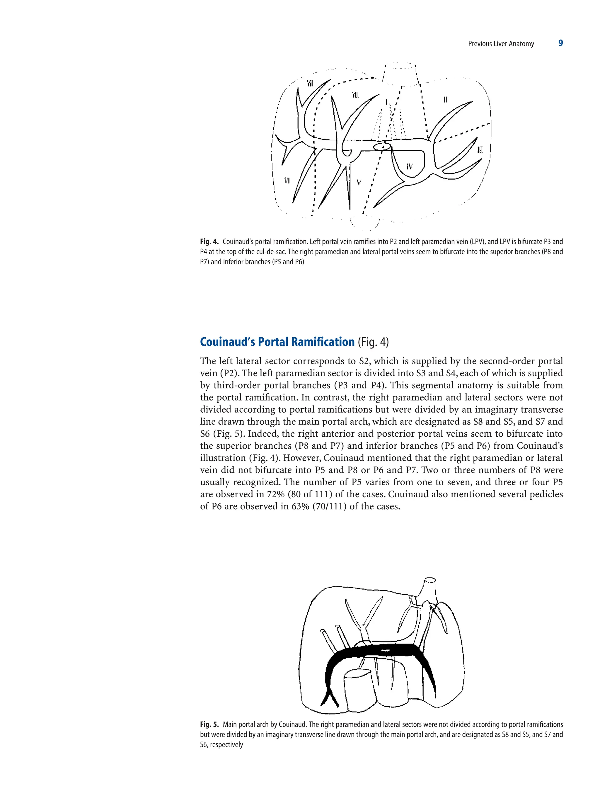 New Liver Anatomy Portal Segmentation And The Drainage Vein 2009th