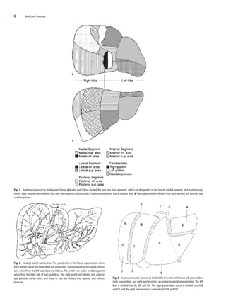 New liver anatomy―Portal segmentation New Liver Anatomy Portal Segmentation And The Drainage Vein 2009th