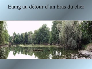 Etang au détour d’un bras du cher 