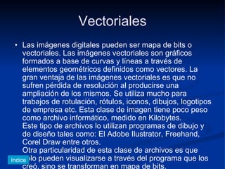 Vectoriales Las imágenes digitales pueden ser mapa de bits o vectoriales. Las imágenes vectoriales son gráficos formados a base de curvas y líneas a través de elementos geométricos definidos como vectores. La gran ventaja de las imágenes vectoriales es que no sufren pérdida de resolución al producirse una ampliación de los mismos. Se utiliza mucho para trabajos de rotulación, rótulos, iconos, dibujos, logotipos de empresa etc. Esta clase de imagen tiene poco peso como archivo informático, medido en Kilobytes. Este tipo de archivos lo utilizan programas de dibujo y de diseño tales como: El Adobe Ilustrator, Freehand, Corel Draw entre otros. Otra particularidad de esta clase de archivos es que solo pueden visualizarse a través del programa que los creó, sino se transforman en mapa de bits. Indice 