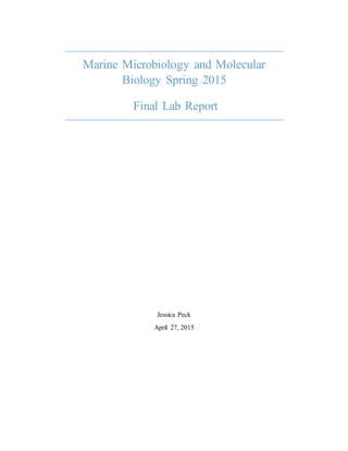 Marine Microbiology and Molecular
Biology Spring 2015
Final Lab Report
Jessica Peck
April 27, 2015
 