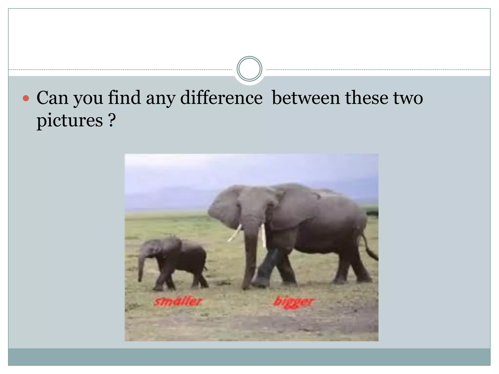  Can you find any difference between these two
pictures ?