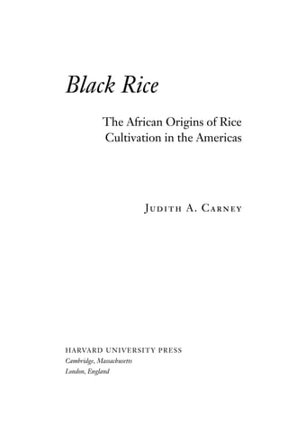 Jusith Rice Black Rice The African Origins Of Rice Cultivation In The Americas ...