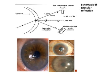 Schematic of
specular
reflection
 